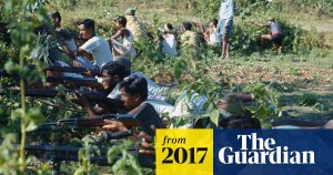 Fake news images add fuel to fire in Myanmar, after more than 400 deaths  Global development  The Guardian