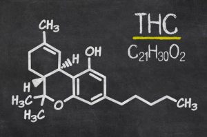 THC with Ceramide causes apoptosis in canerous cells - conspiracy