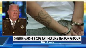 'The Problem Is Congress': MD Sheriff Warns of Growing MS-13 Threat, Female Recruitment  Fox News Insider