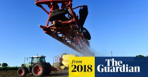 Glyphosate shown to disrupt microbiome 'at safe levels', study claims  Environment  The Guardian