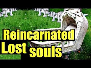 lost souls of 9/11 are being reincarnated as children : Reincarnation