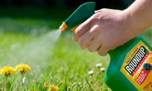 Glyphosate Found in Urine of 93 Percent of Americans Tested - EcoWatch