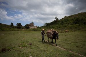 Role of Hillary Clinton&rsquo;s brother in Haiti gold mine raises eyebrows - The Washington Post