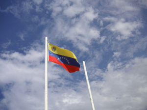 A Primer on the Venezuelan Elections