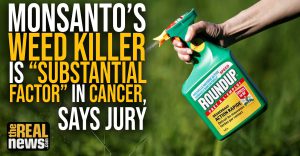 Monsanto's Weed Killer is "Substantial Factor" in Cancer, Says Jury