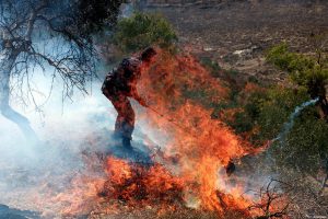 Video shows Israel settlers started West Bank fires, contradicting army statement &ndash; Middle East Monitor