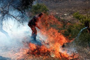 B'Tselem: Settlers set fire to Palestinians' fields, threw rocks at them  The Times of Israel