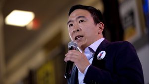 Yang campaign slams DNC over poll qualification criteria for September debate  TheHill