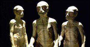 10 Modern-Day Sightings Of Reptilian Humanoids - Listverse