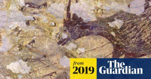 Earliest known cave art by modern humans found in Indonesia  Science  The Guardian