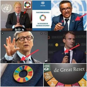 Multiple world leaders have been wearing this pin The Great Reset has marked who is their allies. : conspiracy