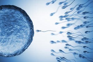 Covid-19 Compromises Sperm Count And Quality In Recovering Patients