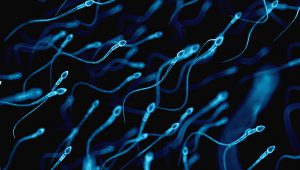 Falling sperm counts threaten humanity; chemicals to blame, book says