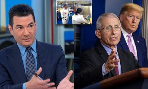 Dr Fauci briefed world leaders coronavirus escaped from Wuhan lab in SPRING Scott Gottlieb reveals  Daily Mail Online