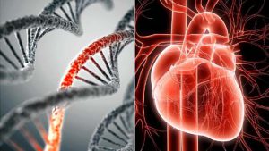 Doctor: Heart Failure from mRNA Jabs &ldquo;Will Kill Most People&rdquo;  Principia Scientific Intl.