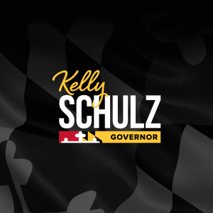 Why I&rsquo;m Running - Kelly Schulz for Governor