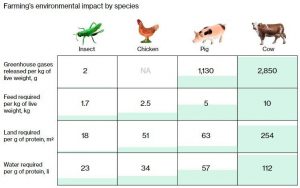 Good grub: why we might be eating insects soon  World Economic Forum