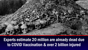 Experts estimate 20 million are already dead due to COVID Vaccination & over 2 billion injured &#8211; The Expose