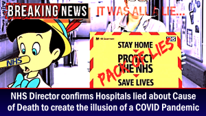 IT WAS ALL A LIE: NHS Director confirms Hospitals lied about Cause of Death to create illusion of COVID Pandemic &#8211; The Expose