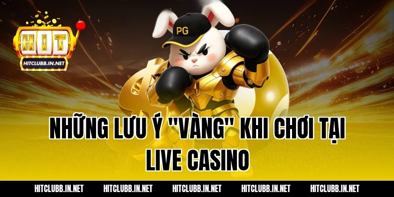 Những lưu ý "vàng" khi chơi tại Live Casino
