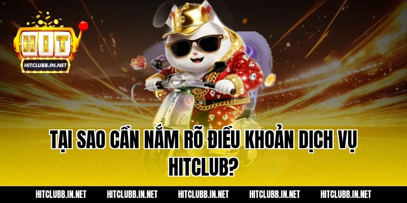Tại sao cần nắm rõ điều khoản dịch vụ Hitclub?