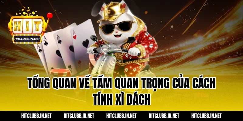 Tổng quan về tầm quan trọng của cách tính xì dách